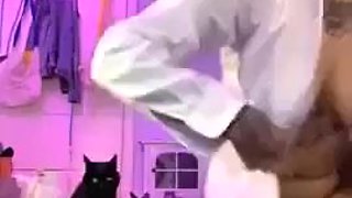 BigCatMia 1