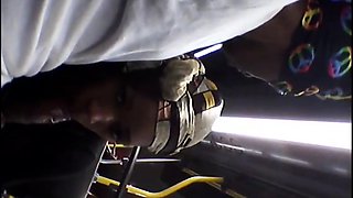 Brain's Blowjob on the Bus