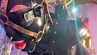 Suspended in Rope for a Good Fisting