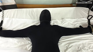 Exemplary punishment Vol.4