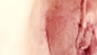 Pussy Delight - Colour Version