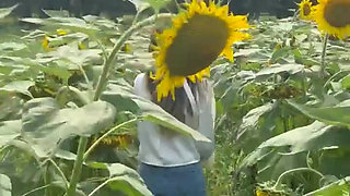 Some Flowers All Together