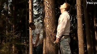 Fun In The Woods With Stephen And Marcel