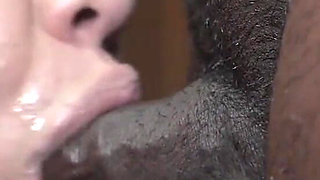 Blow Job, Hand Job, Foot Job