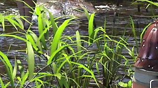 Giant Woman Rides My Giant Cock