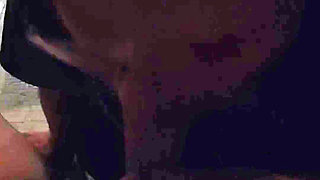 Suck Your Mistress' Cock!!!