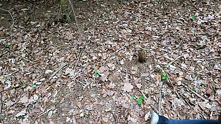 Very Harsh Punishment in the Forest