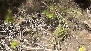 Deutsche Strandferien