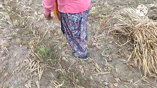 Gehu kat ti huyi female majdoor ki choot chudayi kari doggi style me