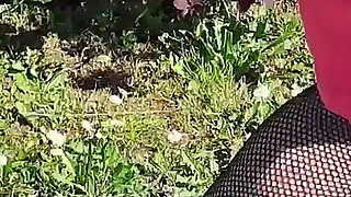 Who Wants to Go for a Walk with Me?