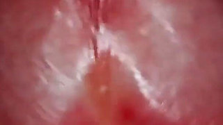 She Caresses His Frenulum and He Quickly Cums