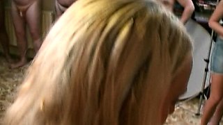 Slutty amateurs sucking cocks in group sex party