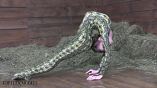 Flexible Spandex Beauty