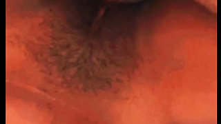 X lover with mallu hot gril