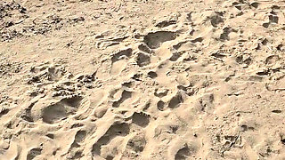 Nude Beach, People I Lost Control