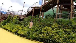 0010531_クンニリングス 69 手マンなどが含まれている