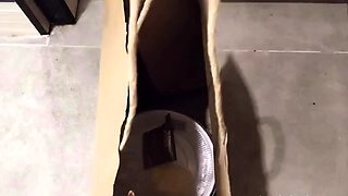 Mistress Jessica – My Wife Cheated On Me With a Delivery