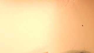 Here Kitty Kitty Cuum Play with Me