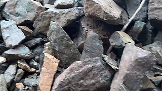 Pee on the Moutain so Fun