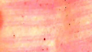 Sissi7 Spanking Machine - Breast Whipping