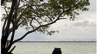 Alone Of The Beach Luna Star Strips Nake And Shakes Her Ass