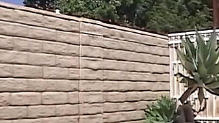 Bubble Butt Queen Sara Jay Vs Huge Black Monster Cock