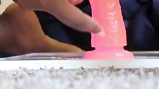 Riding Big Dildo Amazing Intense Creaming Orgasms