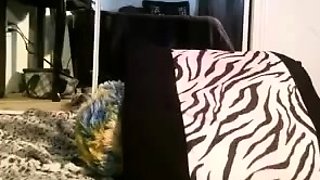 Cute blonde amateur webcam teen masturbating