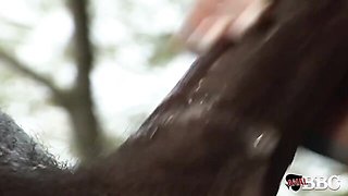 Anna Nova's doggystyle scene by Anal BBC