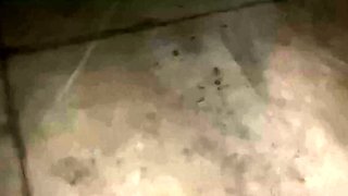 Public Parking Mall Sex With My Boss's Big-Ass Girl