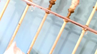 Blonde With Natural Big Boobs Loves Putting A Toy In Her